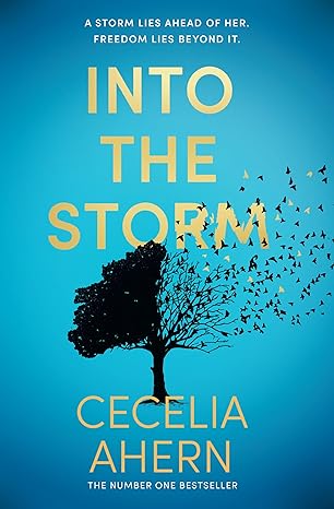 Cover for into the Storm by Cecelia Ahearn
